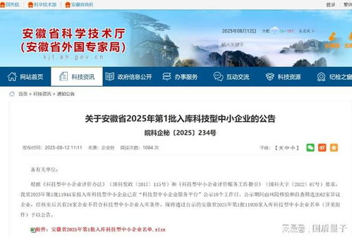 權(quán)威認可！安徽量子云入庫科技型中小企業(yè)，軟件開發(fā)展現(xiàn)硬實力